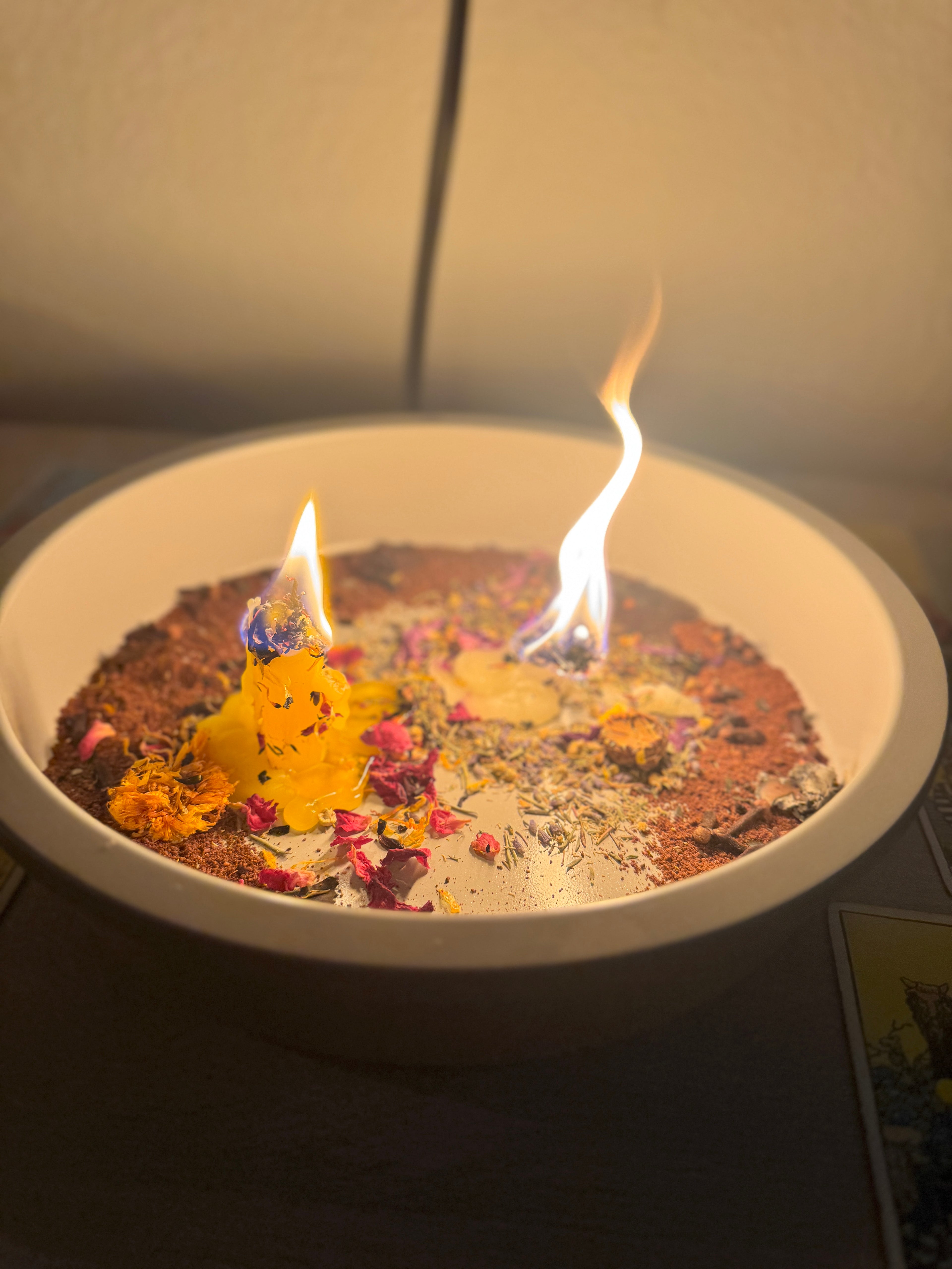 Retired Toxica's Membership (Basic)